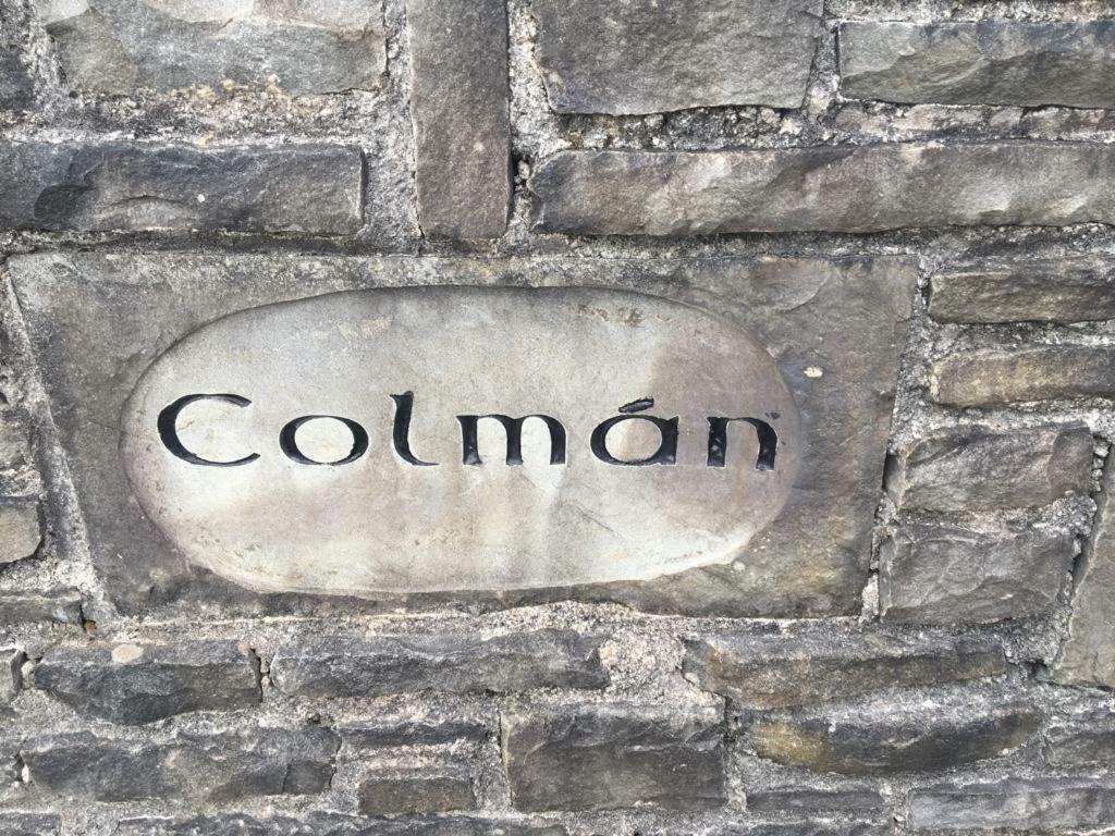 مبيت وإفطار Kilmihil Colman House المظهر الخارجي الصورة
